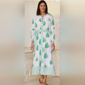 NWT Aspiga Cara Block Print Dress
